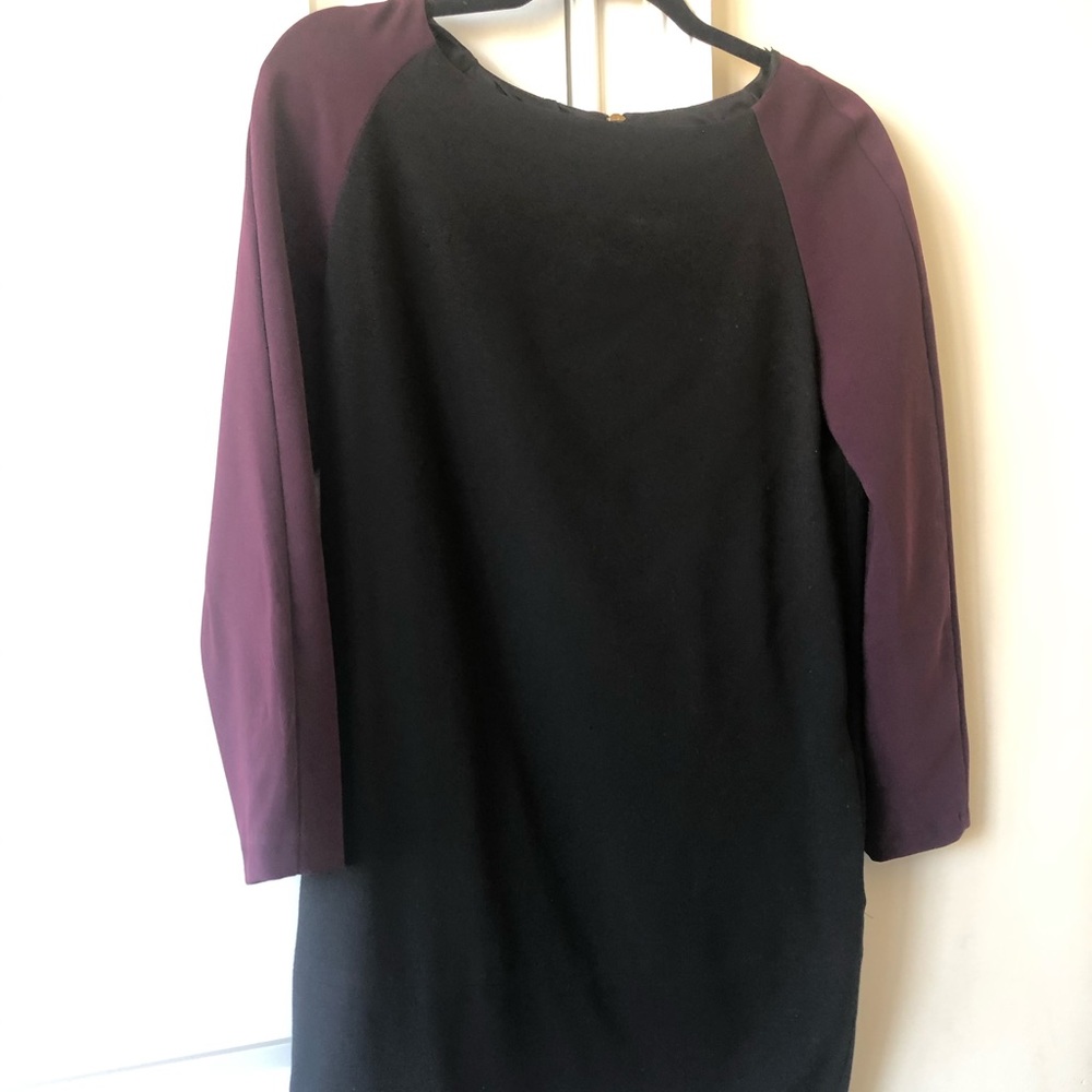 Zara dress